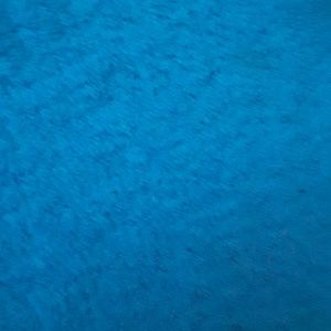 Meet your Posher, Jasmin